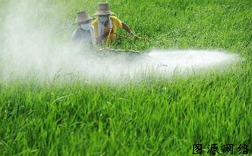 农药产品茄子视频APP污片标签如何茄子视频APP污片假冒产品流入市场