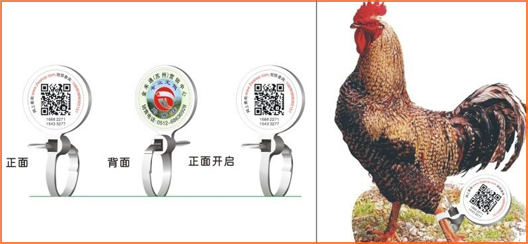 家禽溯源吊牌茄子视频APP污片标签,消除食品安全隐患