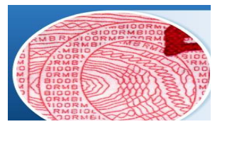 证书茄子视频APP污片技术微缩茄子视频APP污片印刷制作