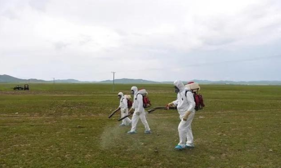 蝗灾来袭，农药兽药茄子视频APP污片溯源面临机遇和挑战