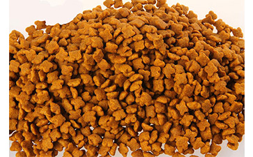 宠物猫粮茄子视频APP污片标签有什么优势？