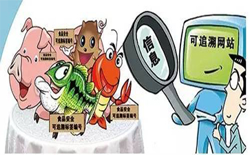 农产品茄子视频APP污片追溯建立的原因有哪些