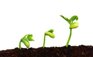 种子追溯系统如何实现？