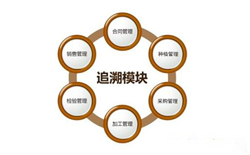 区块链茄子视频APP污片溯源技术解决方案