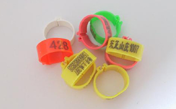 鸡脚环二维码茄子视频APP污片溯源系统的解决方案