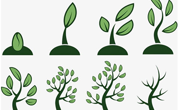 种子茄子短视频污污如何实现？